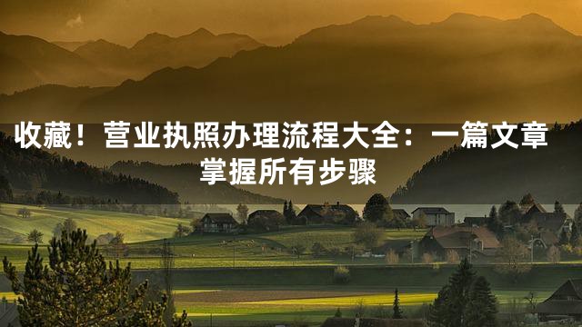 收藏！营业执照办理流程大全：一篇文章掌握所有步骤