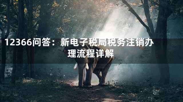 12366问答：新电子税局税务注销办理流程详解