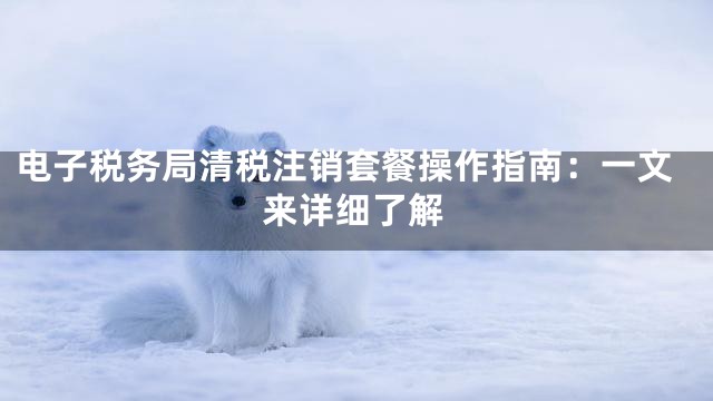 电子税务局清税注销套餐操作指南：一文来详细了解