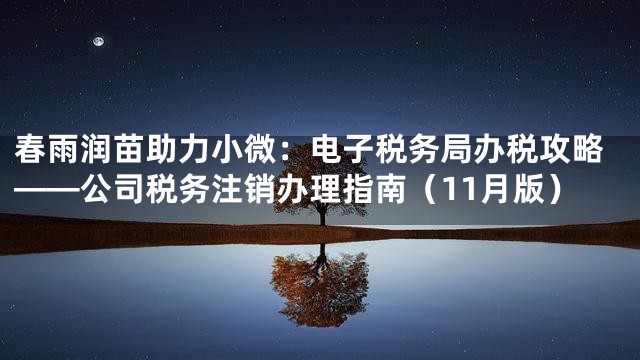 春雨润苗助力小微：电子税务局办税攻略——公司税务注销办理指南（11月版）