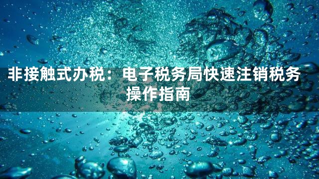 非接触式办税：电子税务局快速注销税务操作指南