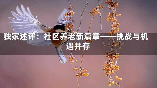 独家述评：社区养老新篇章——挑战与机遇并存
