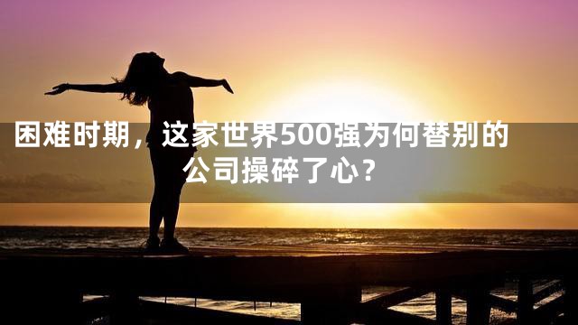 困难时期，这家世界500强为何替别的公司操碎了心？