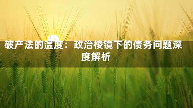 破产法的温度：政治棱镜下的债务问题深度解析