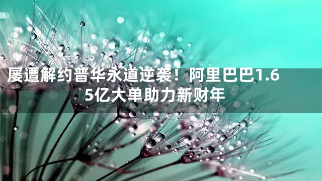 屡遭解约普华永道逆袭！阿里巴巴1.65亿大单助力新财年