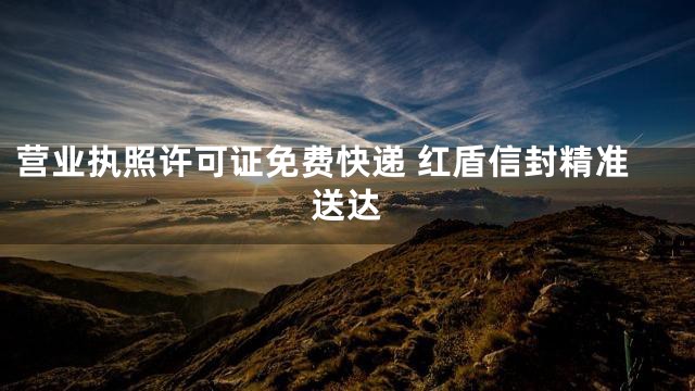 营业执照许可证免费快递 红盾信封精准送达