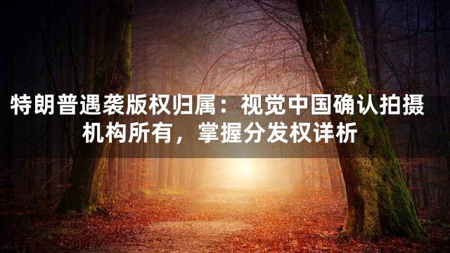 特朗普遇袭版权归属：视觉中国确认拍摄机构所有，掌握分发权详析