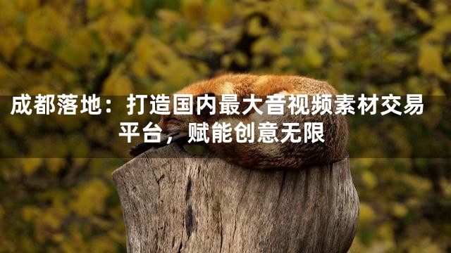 成都落地：打造国内最大音视频素材交易平台，赋能创意无限