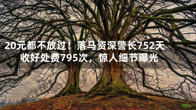 20元都不放过！落马资深警长752天收好处费795次，惊人细节曝光