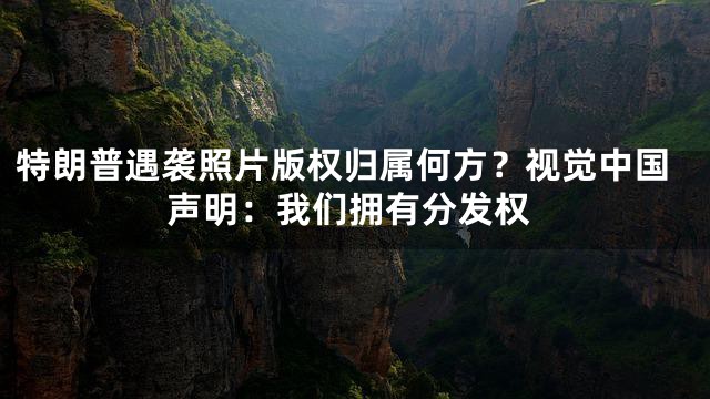 特朗普遇袭照片版权归属何方？视觉中国声明：我们拥有分发权