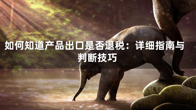 如何知道产品出口是否退税：详细指南与判断技巧