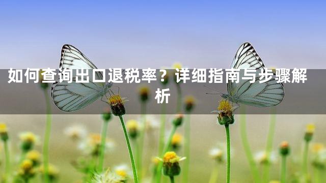 如何查询出口退税率？详细指南与步骤解析