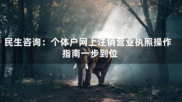 民生咨询：个体户网上注销营业执照操作指南一步到位