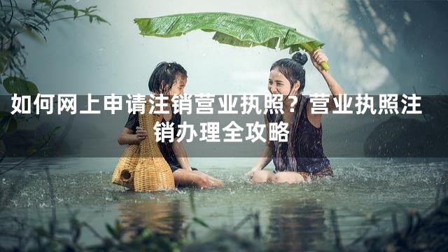 如何网上申请注销营业执照？营业执照注销办理全攻略