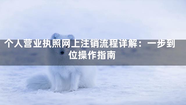 个人营业执照网上注销流程详解：一步到位操作指南