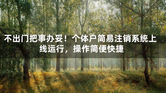 不出门把事办妥！个体户简易注销系统上线运行，操作简便快捷