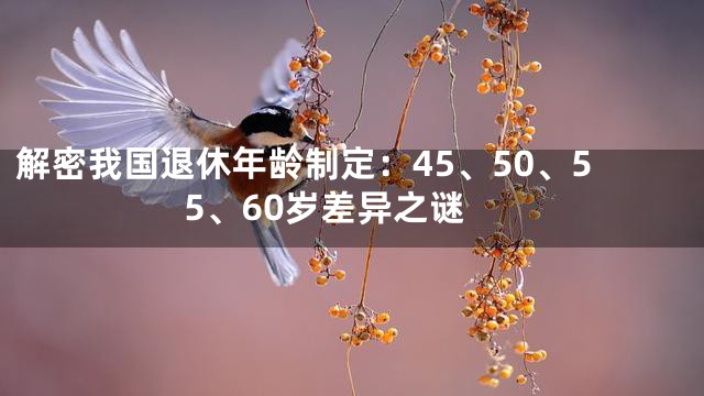 解密我国退休年龄制定：45、50、55、60岁差异之谜