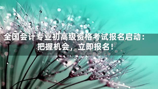 全国会计专业初高级资格考试报名启动：把握机会，立即报名！