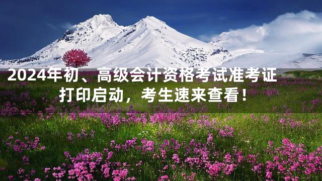 2024年初、高级会计资格考试准考证打印启动，考生速来查看！