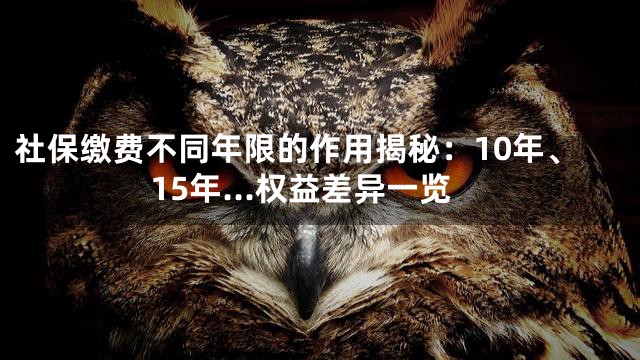 社保缴费不同年限的作用揭秘：10年、15年…权益差异一览