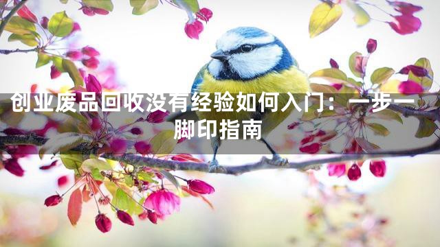 创业废品回收没有经验如何入门：一步一脚印指南
