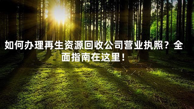 如何办理再生资源回收公司营业执照？全面指南在这里！