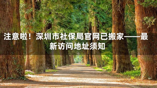 注意啦！深圳市社保局官网已搬家——最新访问地址须知