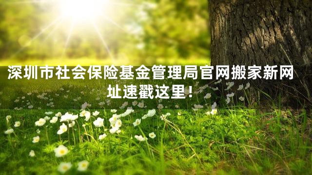深圳市社会保险基金管理局官网搬家新网址速戳这里！