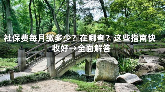 社保费每月缴多少？在哪查？这些指南快收好→全面解答