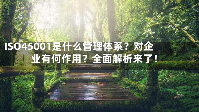 ISO45001是什么管理体系？对企业有何作用？全面解析来了！