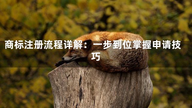 商标注册流程详解：一步到位掌握申请技巧