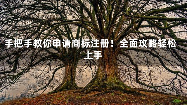 手把手教你申请商标注册！全面攻略轻松上手