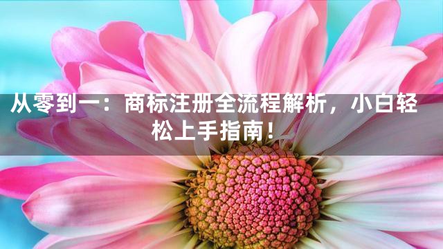 从零到一：商标注册全流程解析，小白轻松上手指南！