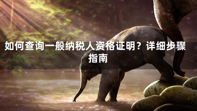 如何查询一般纳税人资格证明？详细步骤指南