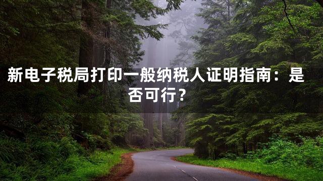 新电子税局打印一般纳税人证明指南：是否可行？