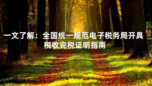 一文了解：全国统一规范电子税务局开具税收完税证明指南