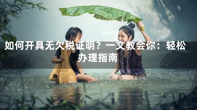 如何开具无欠税证明？一文教会你：轻松办理指南