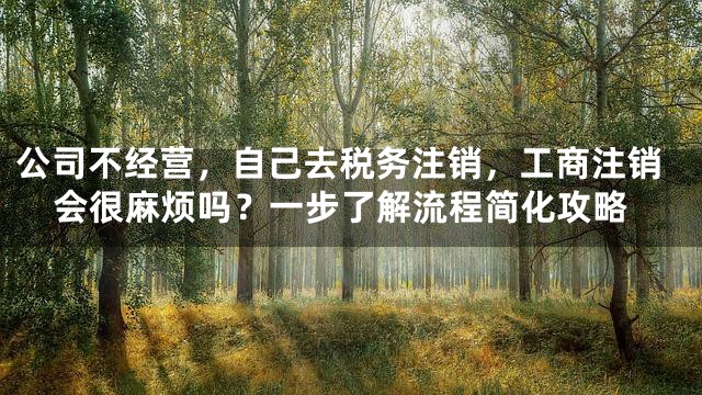 公司不经营，自己去税务注销，工商注销会很麻烦吗？一步了解流程简化攻略