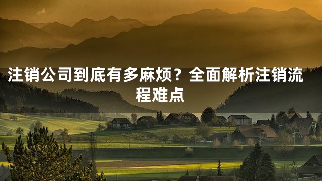 注销公司到底有多麻烦？全面解析注销流程难点