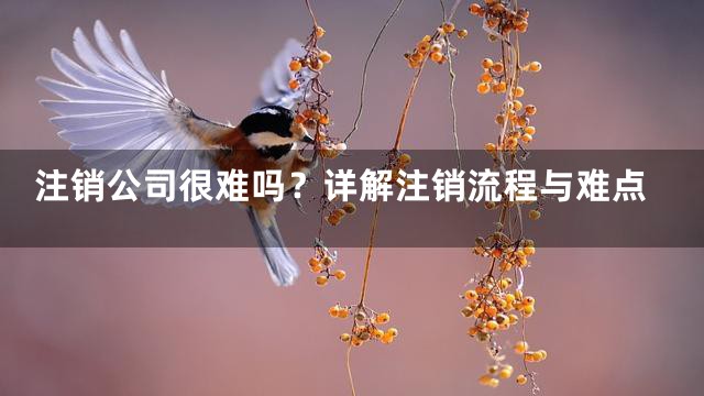 注销公司很难吗？详解注销流程与难点