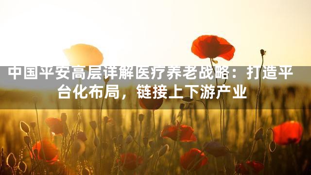 中国平安高层详解医疗养老战略：打造平台化布局，链接上下游产业
