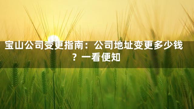 宝山公司变更指南：公司地址变更多少钱？一看便知