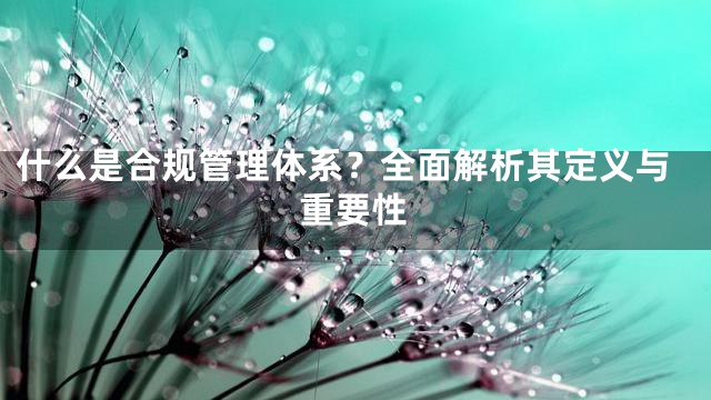 什么是合规管理体系？全面解析其定义与重要性