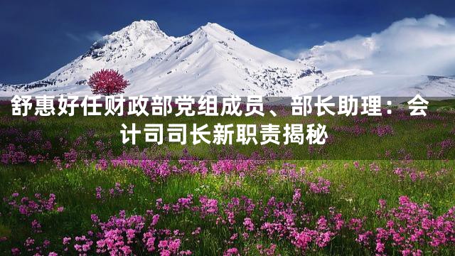 舒惠好任财政部党组成员、部长助理：会计司司长新职责揭秘