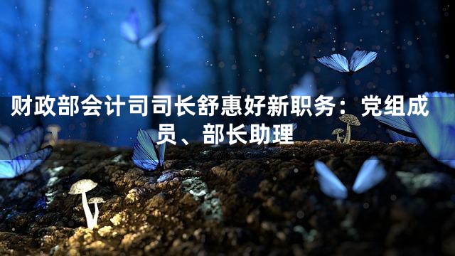 财政部会计司司长舒惠好新职务：党组成员、部长助理
