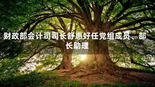 财政部会计司司长舒惠好任党组成员、部长助理