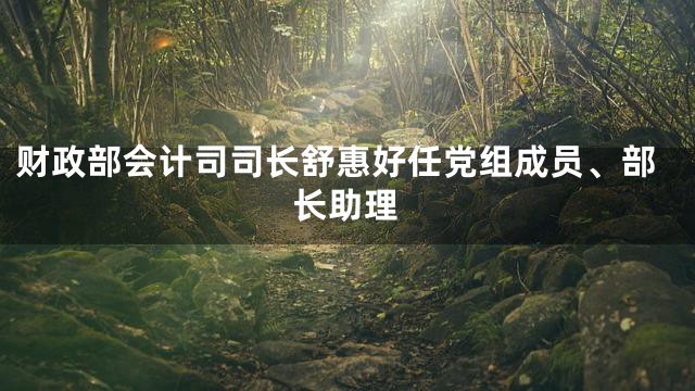 财政部会计司司长舒惠好任党组成员、部长助理