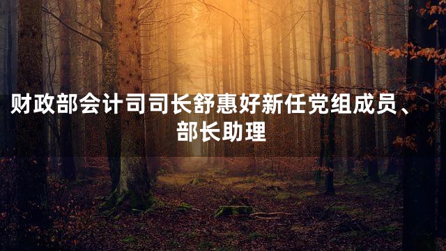 财政部会计司司长舒惠好新任党组成员、部长助理