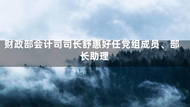 财政部会计司司长舒惠好任党组成员、部长助理