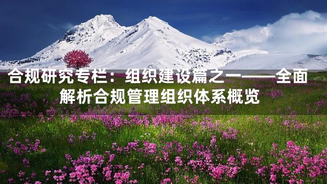 合规研究专栏：组织建设篇之一——全面解析合规管理组织体系概览